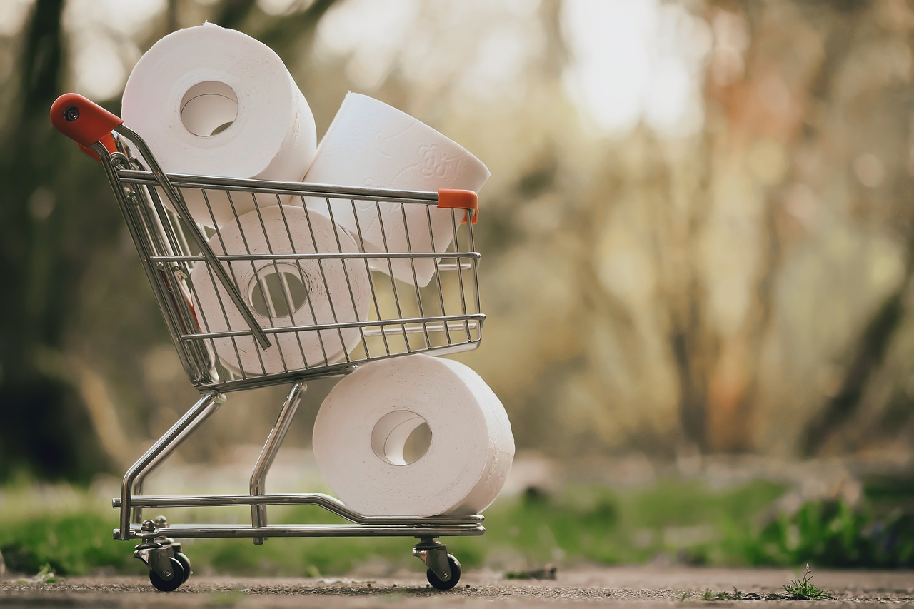 mini shopping cart filled with toilet paper rolls