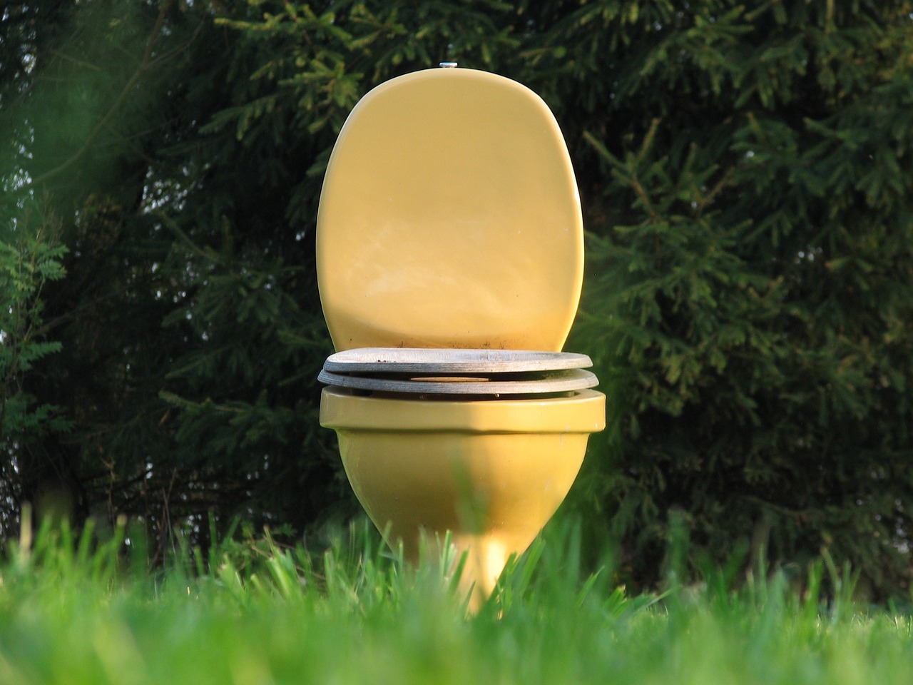 yellow toilet outside on grass